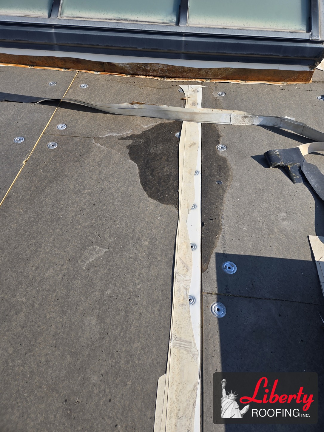 Exposed roof surface and old TPO strips beside the commercial building skylight