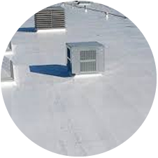 TPO Roofs